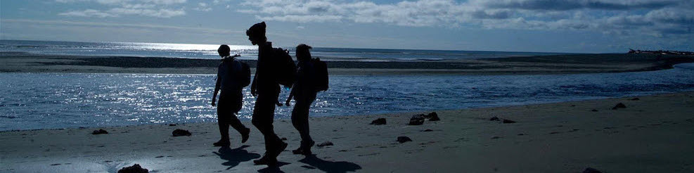 three students walking along a shoreline