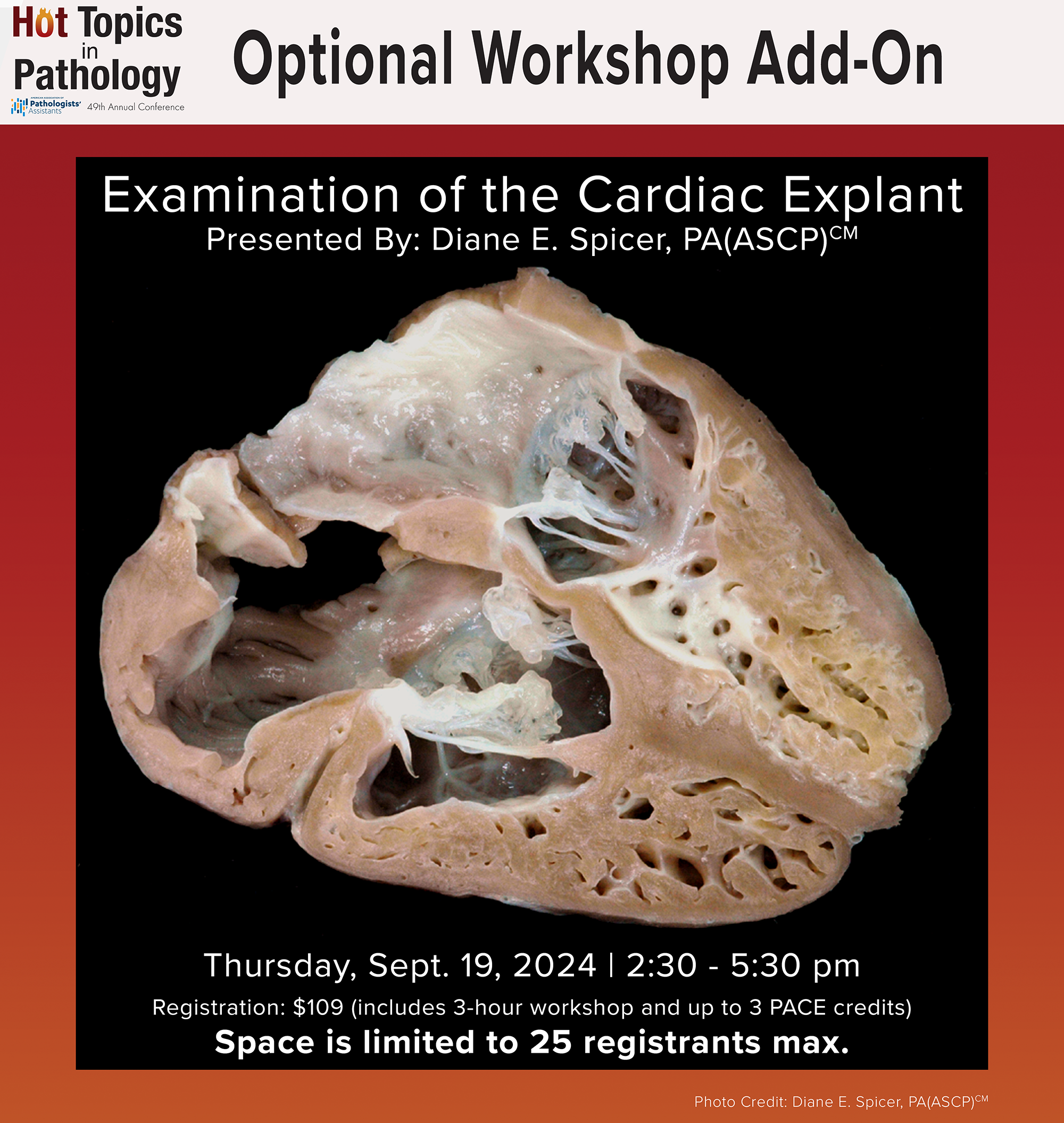 Fort Lauderdale Workshop
