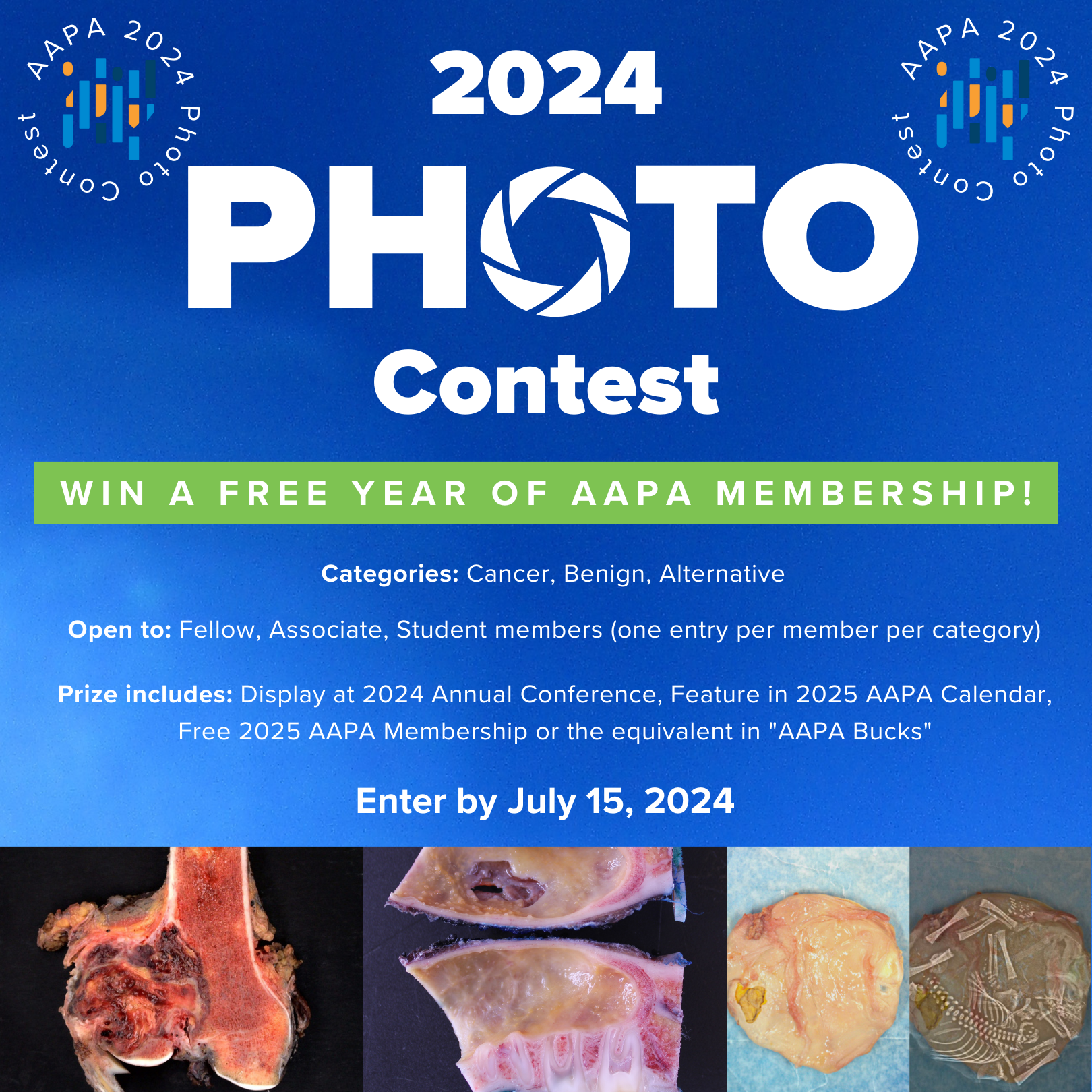 2024 Photo Contest