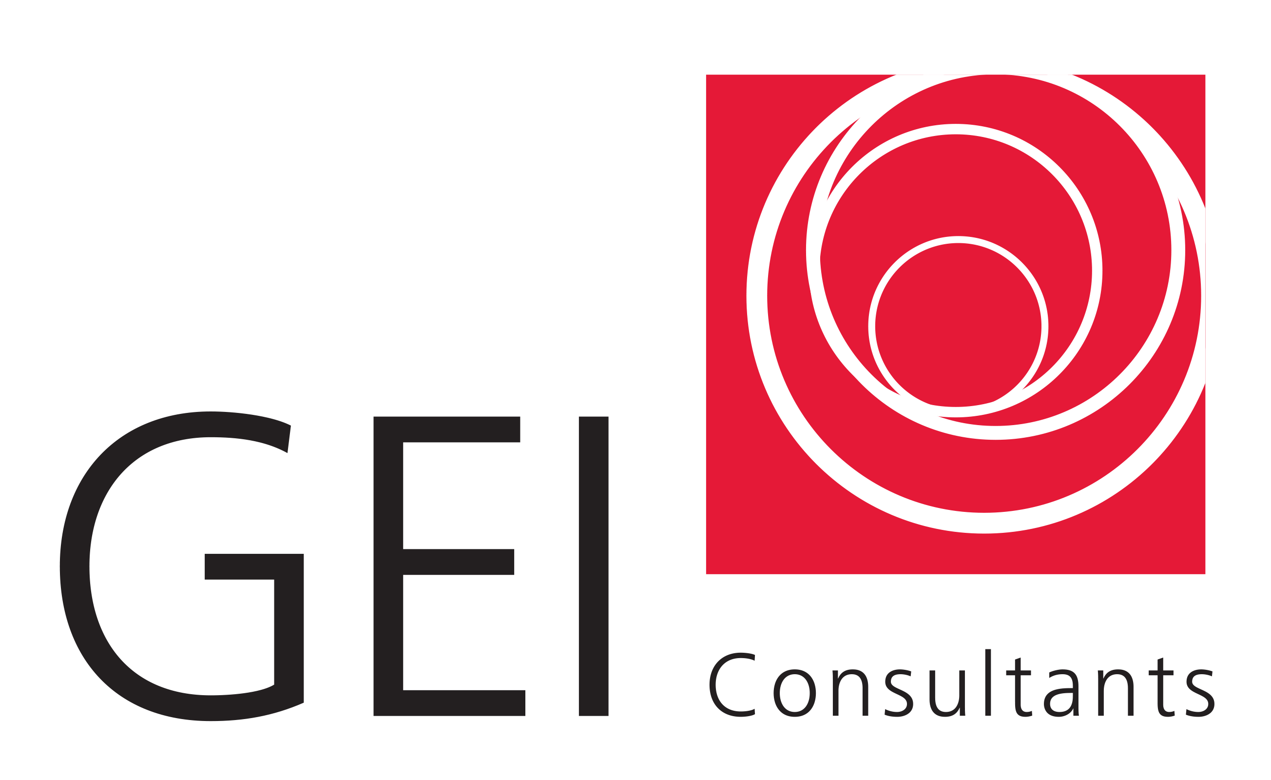 GEI Consultants Logo