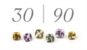 3090 Gems