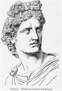 Apollo Manufacturing Inc.