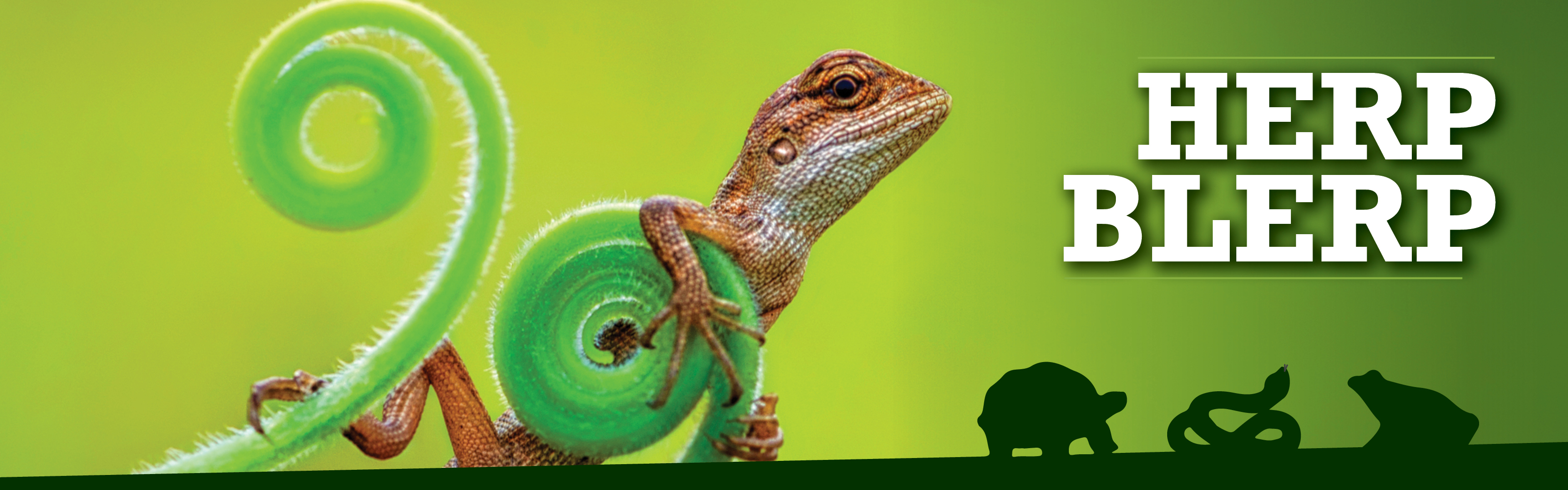 March Herp Blerp Association of Reptile and Amphibian Veterinarians