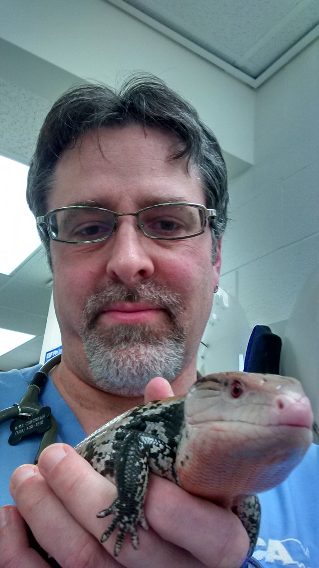 March Herp Blerp Association of Reptile and Amphibian Veterinarians