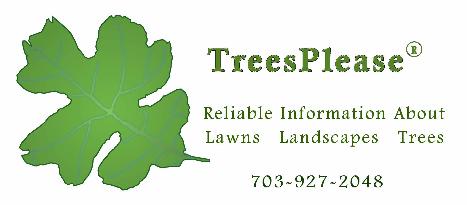 Asca Tree American Society of Consulting Arborists