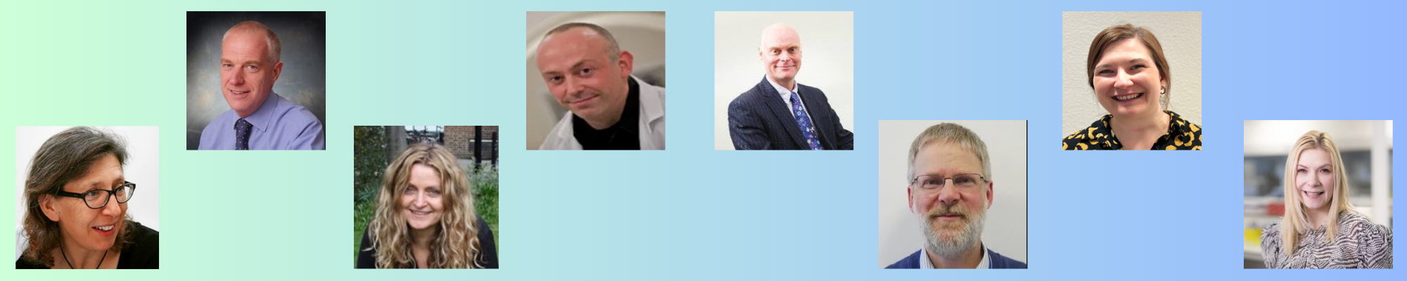 research webinar banner