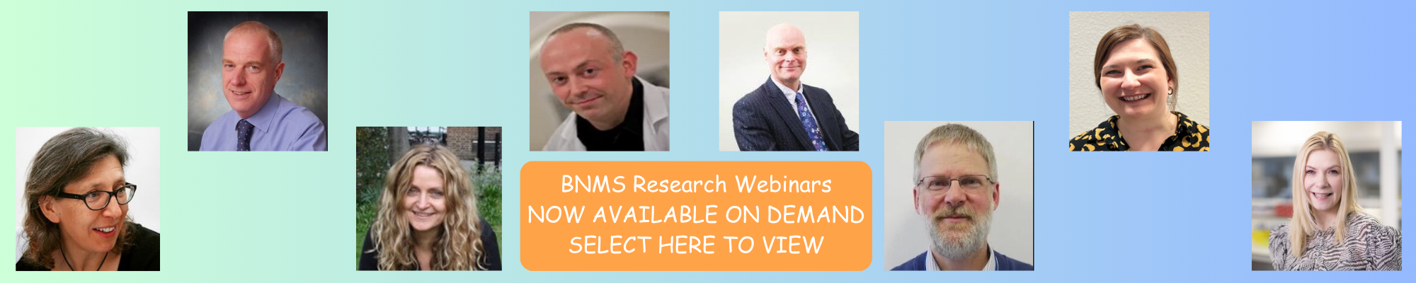 research webinar banner