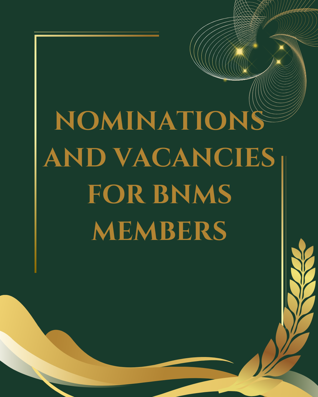 Nominations and Vacancies for BNMS members