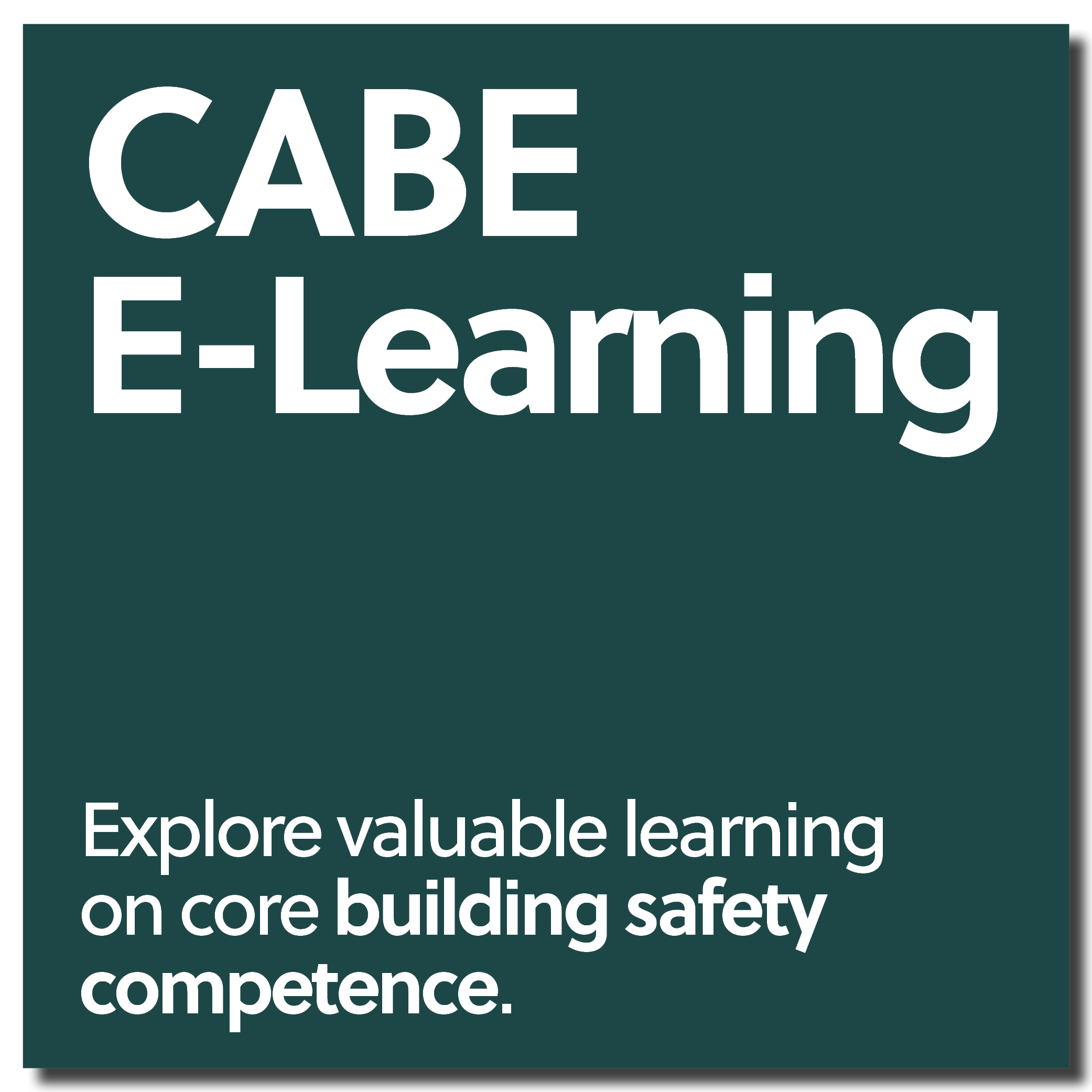 CABE E-Learning CABE E-Learning