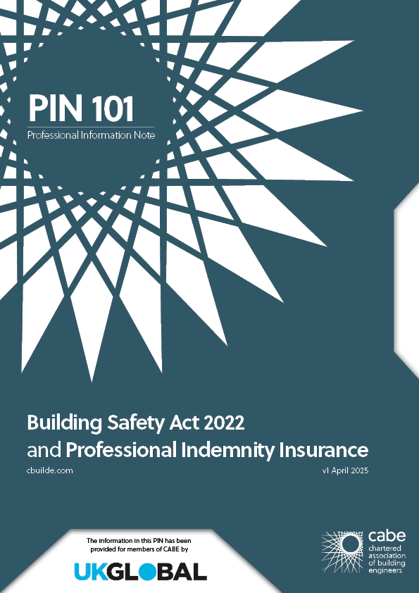 PIN 101 Front Cover image