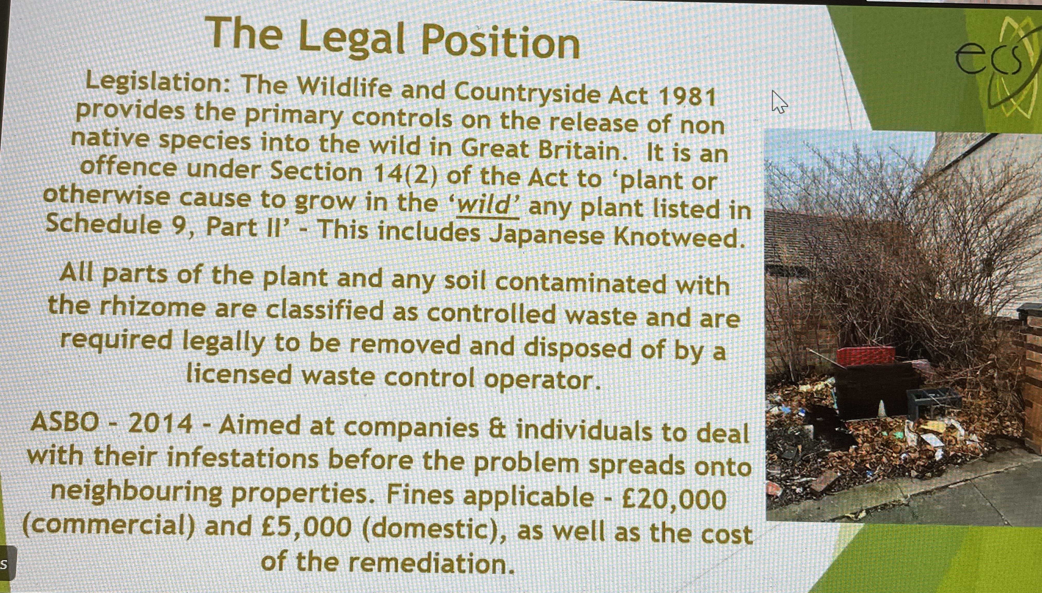 Legals around Knotweed