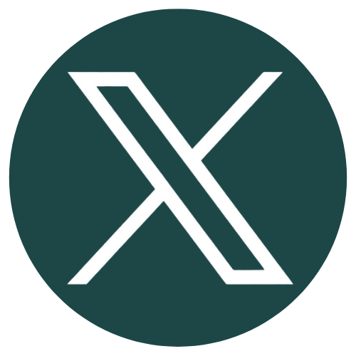 X Icon