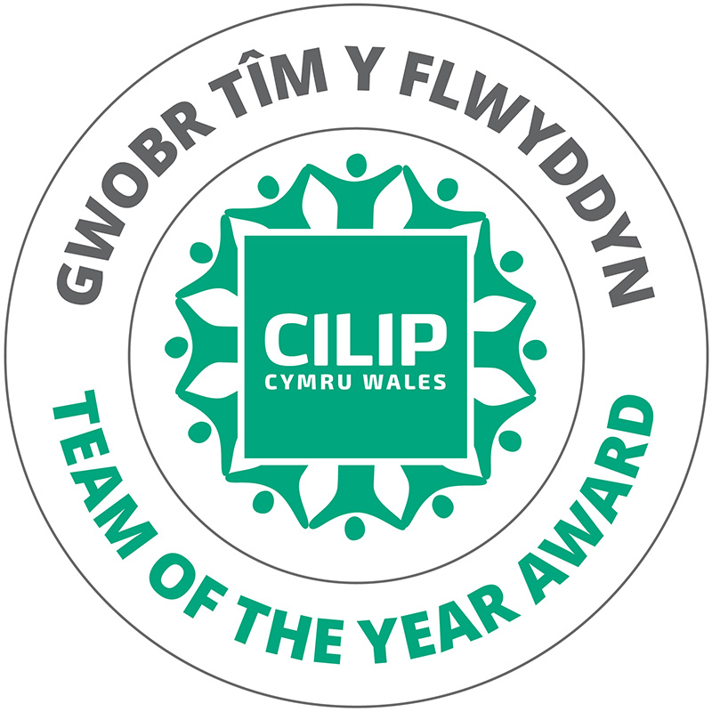 Team of the Year Logo / Logo Tim y Flwyddyn