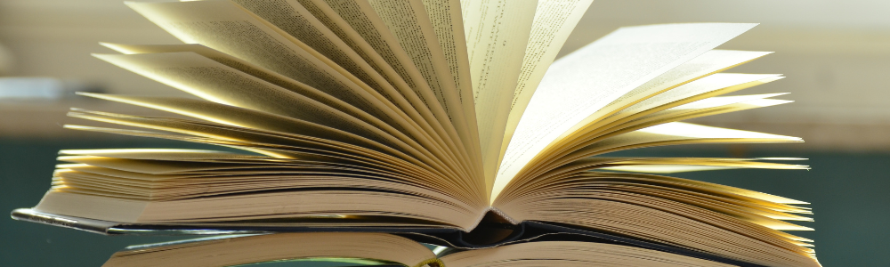 Llun o lyfr / image of book