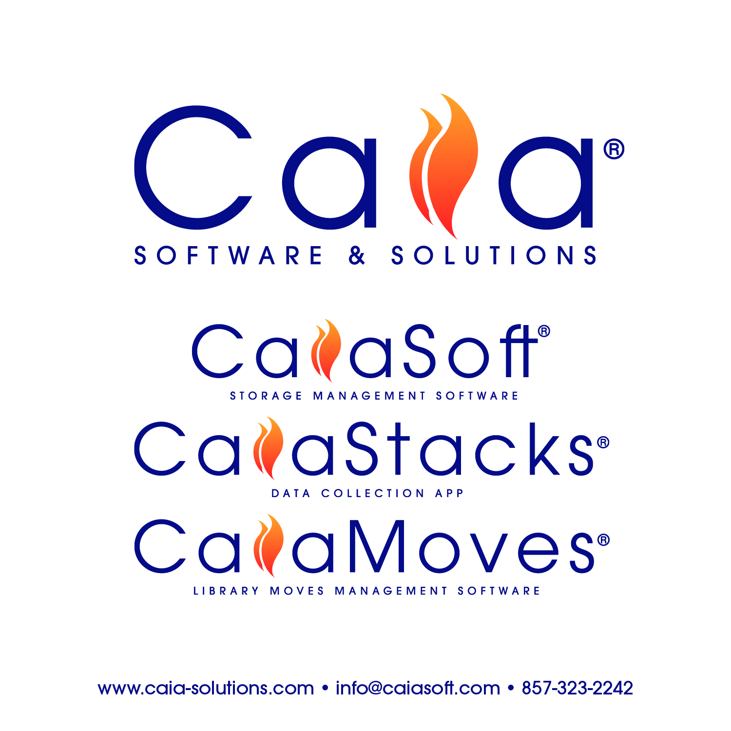 Caia Software and Solutions logo with flame for the i