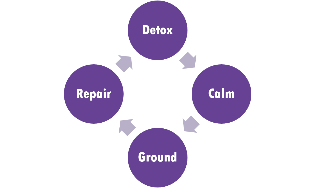 Recovery cycle: A cycle starting with detox, moving to calm, moving to ground, moving to repair, moving back to detox
