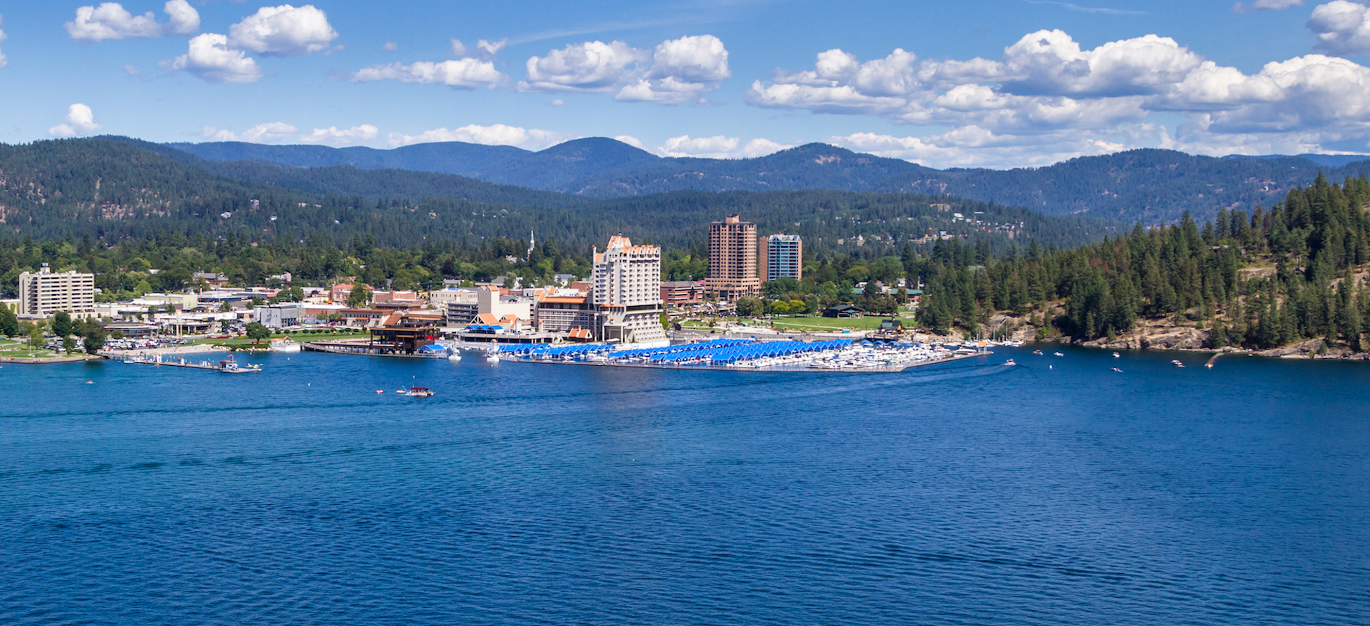 Distribution Contractors Association