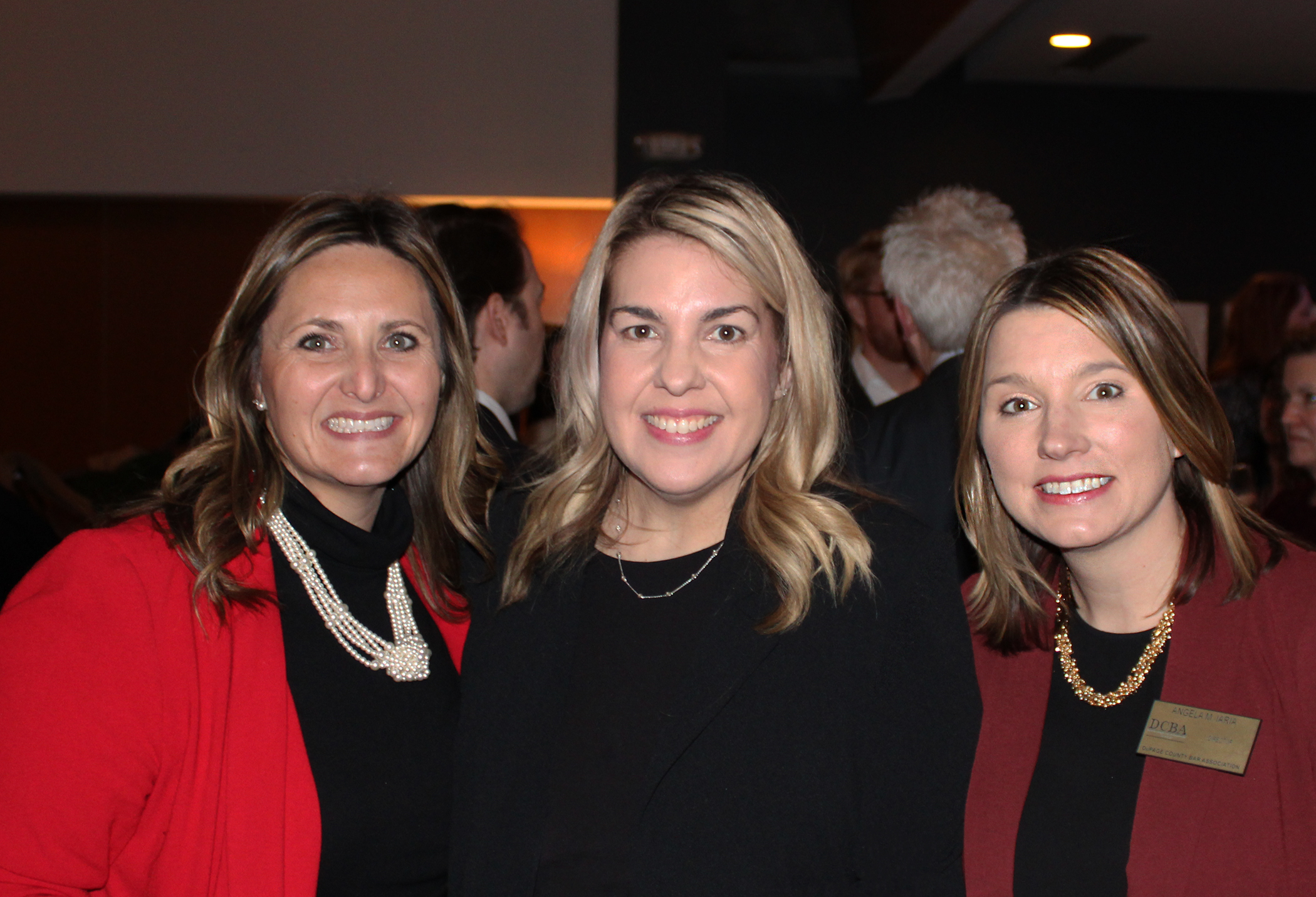 Photo gallery dupage county bar association