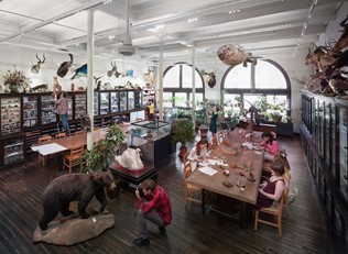 R: RISD Nature lab, L: Edna Lawrence