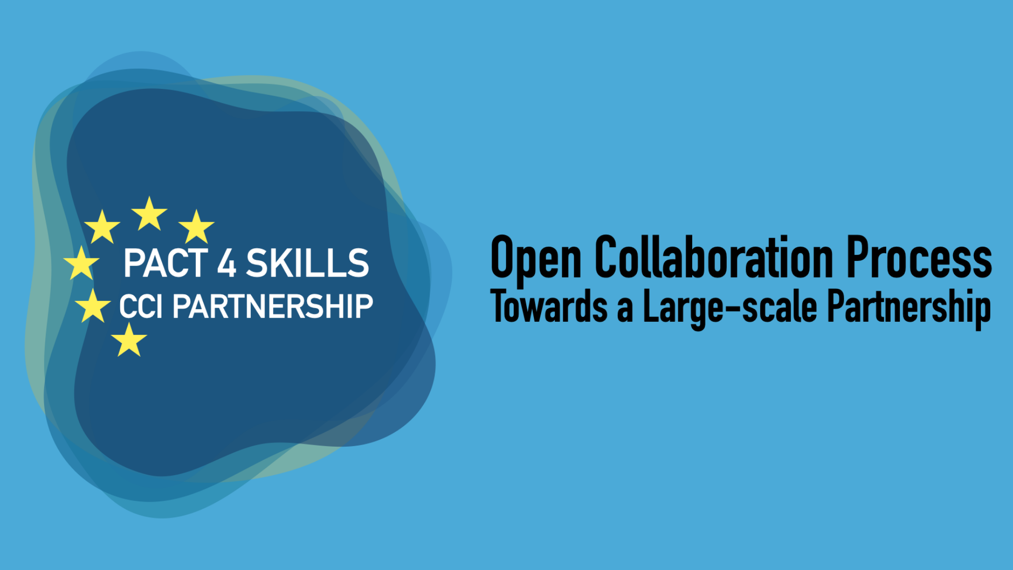 Logo of Pact4SKILLS - CCI Partnership
