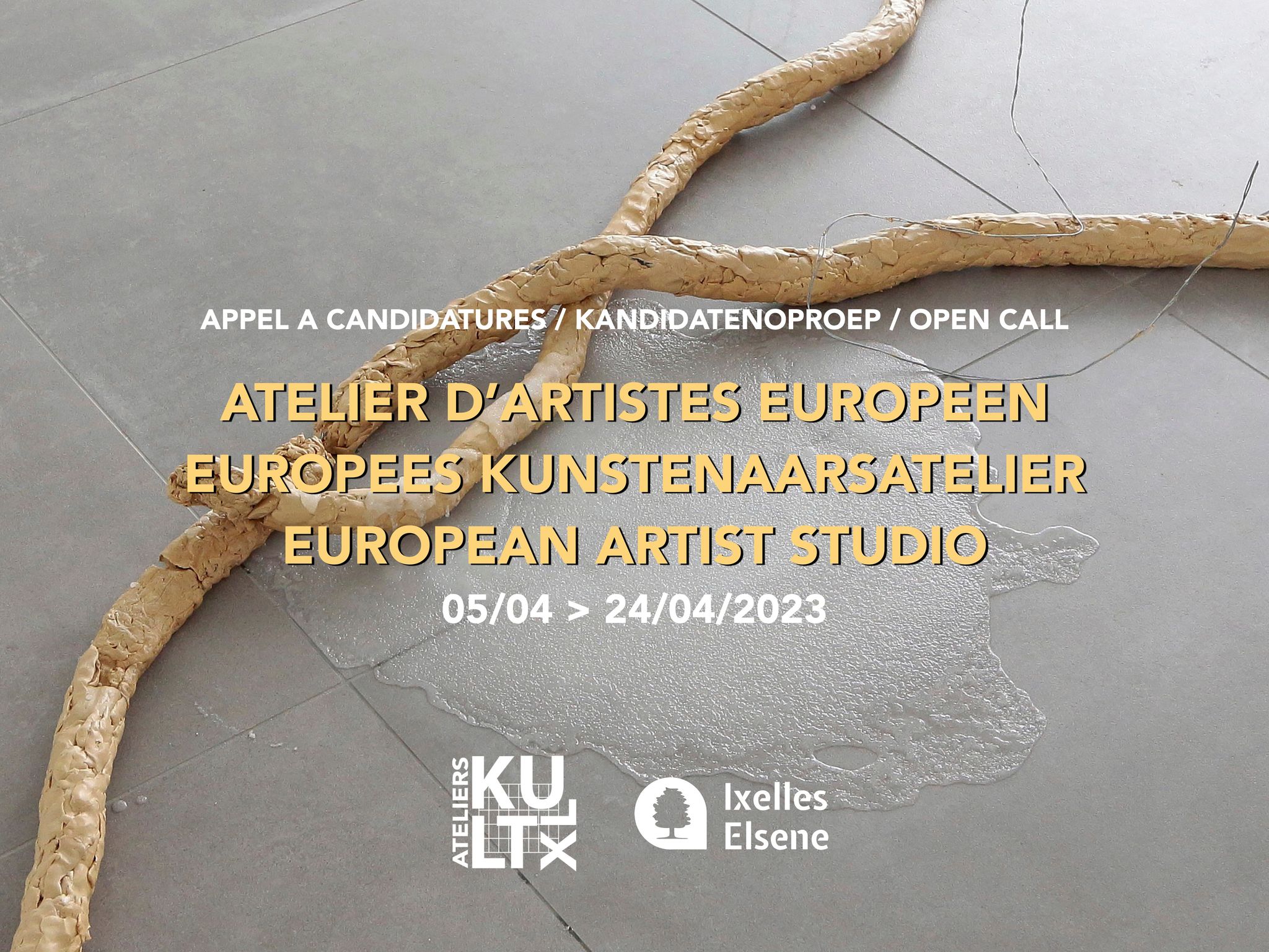 https://cdn.ymaws.com/elia.site-ym.com/resource/resmgr/news_items/belgium_kult_xl_open_call_we.jpg 
