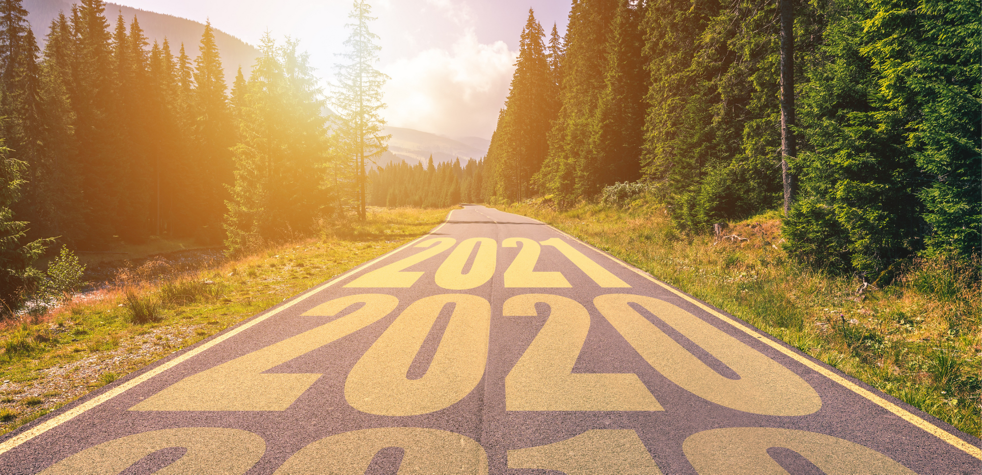 Road to 2021