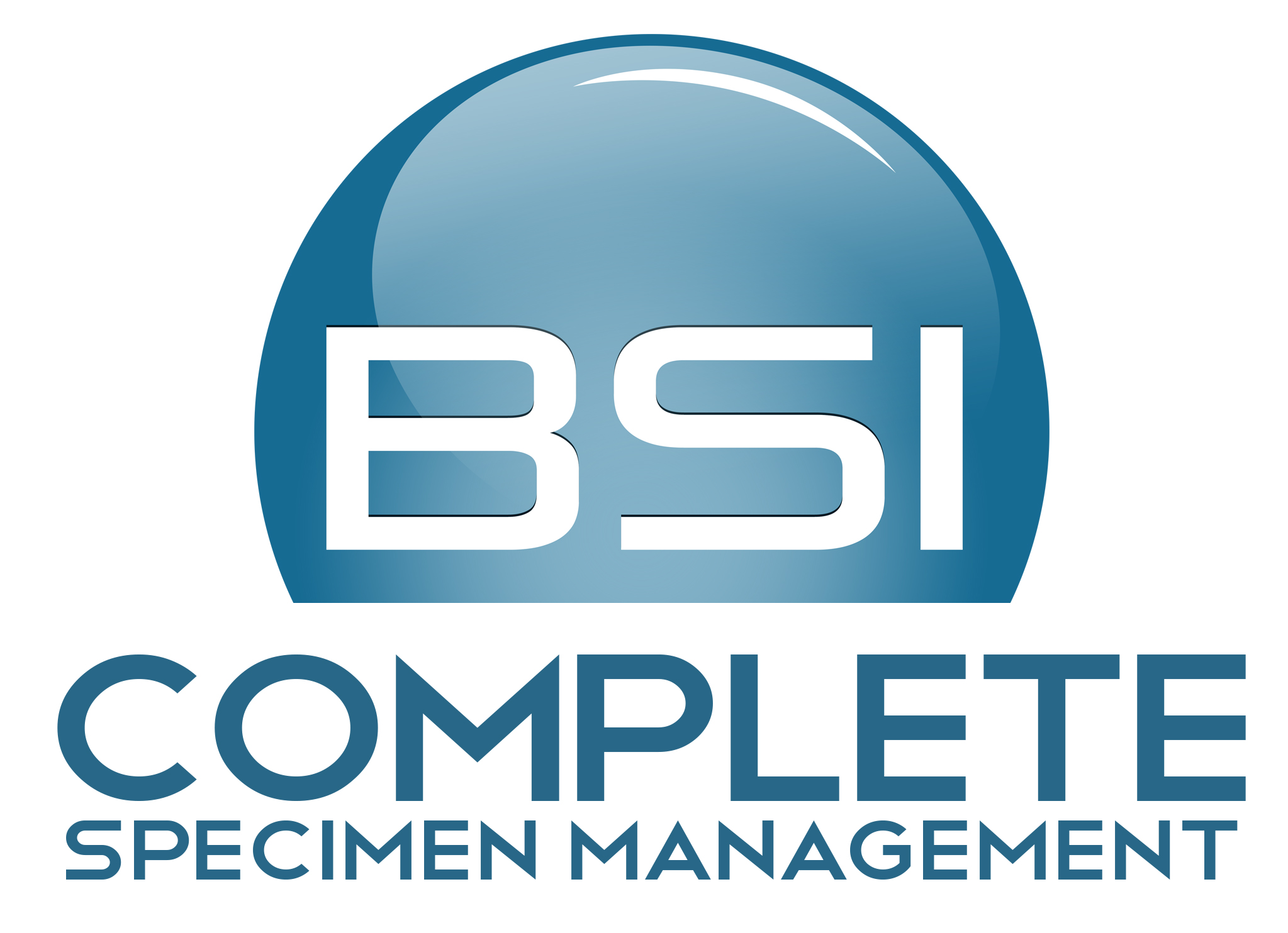 BSI Systems