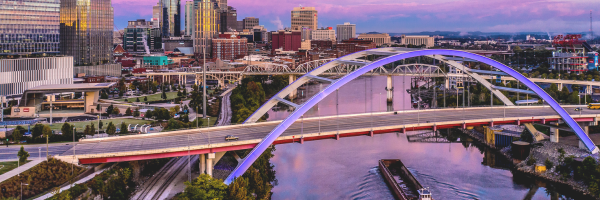 Nashville Skyline