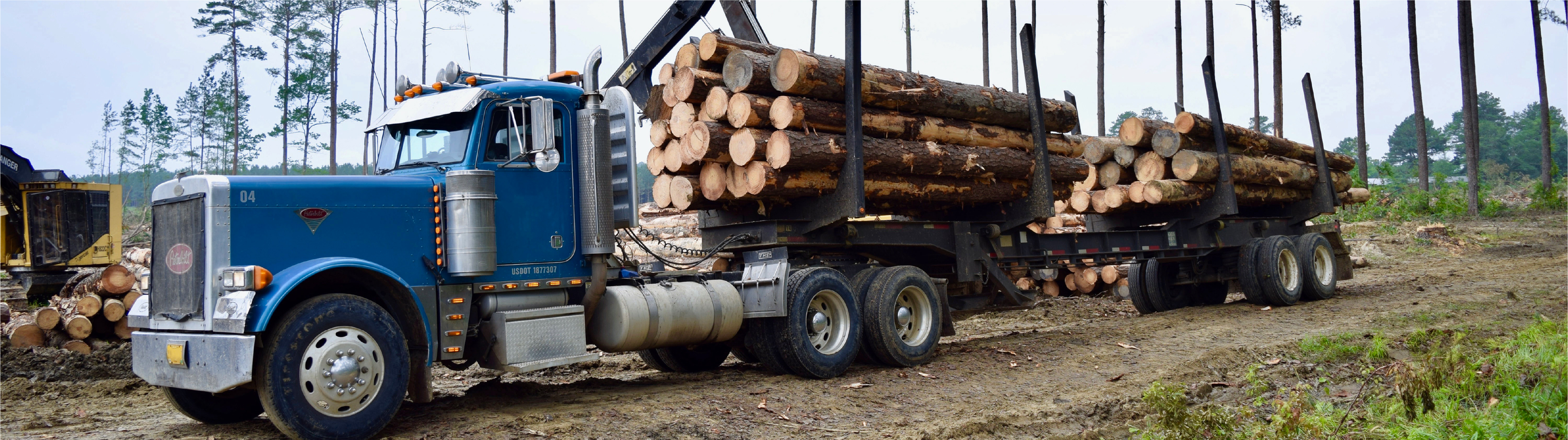 Mississippi Forestry Association