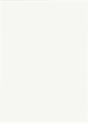 Image Profile of Vanessa Bryer