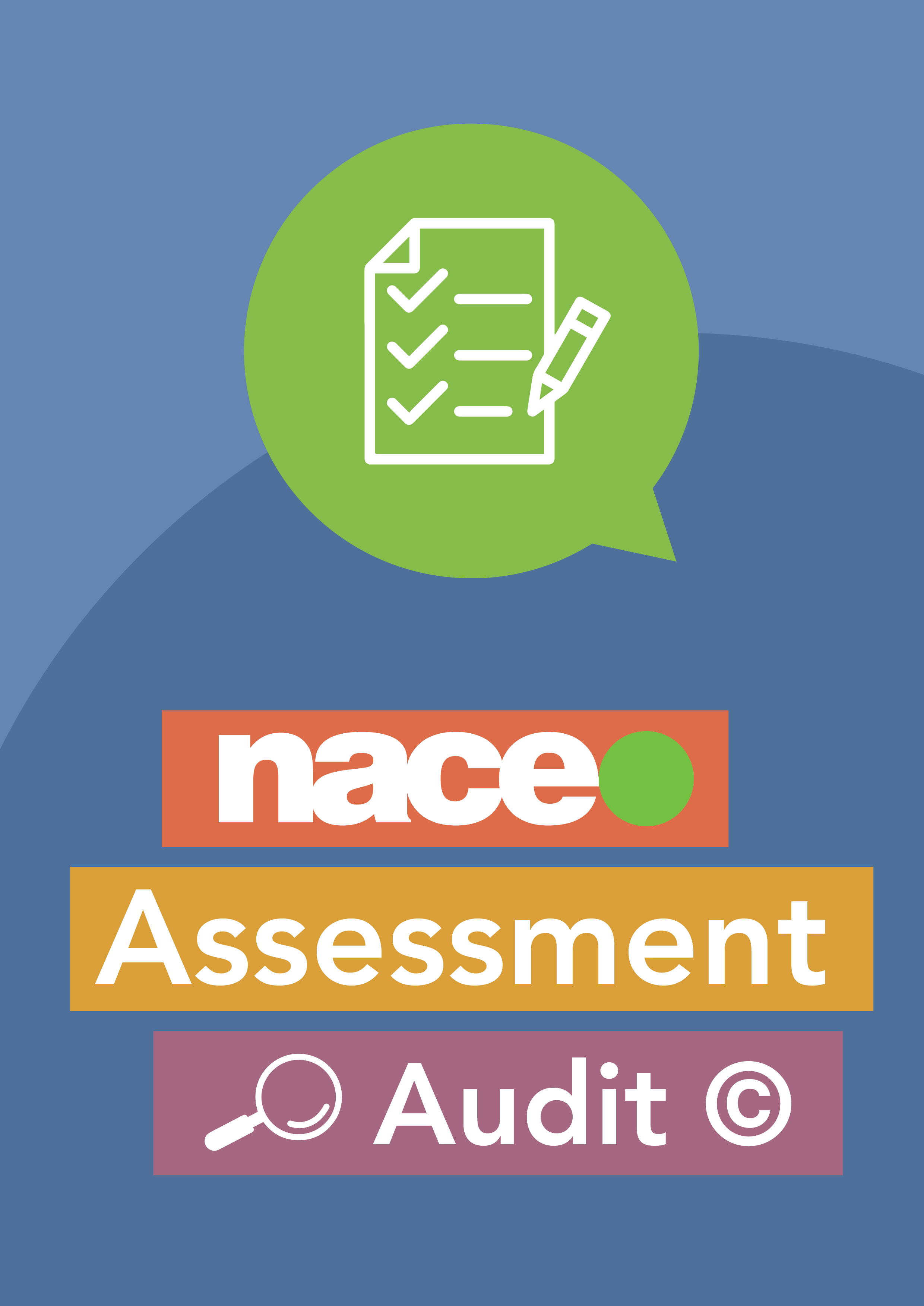 Assessment audit