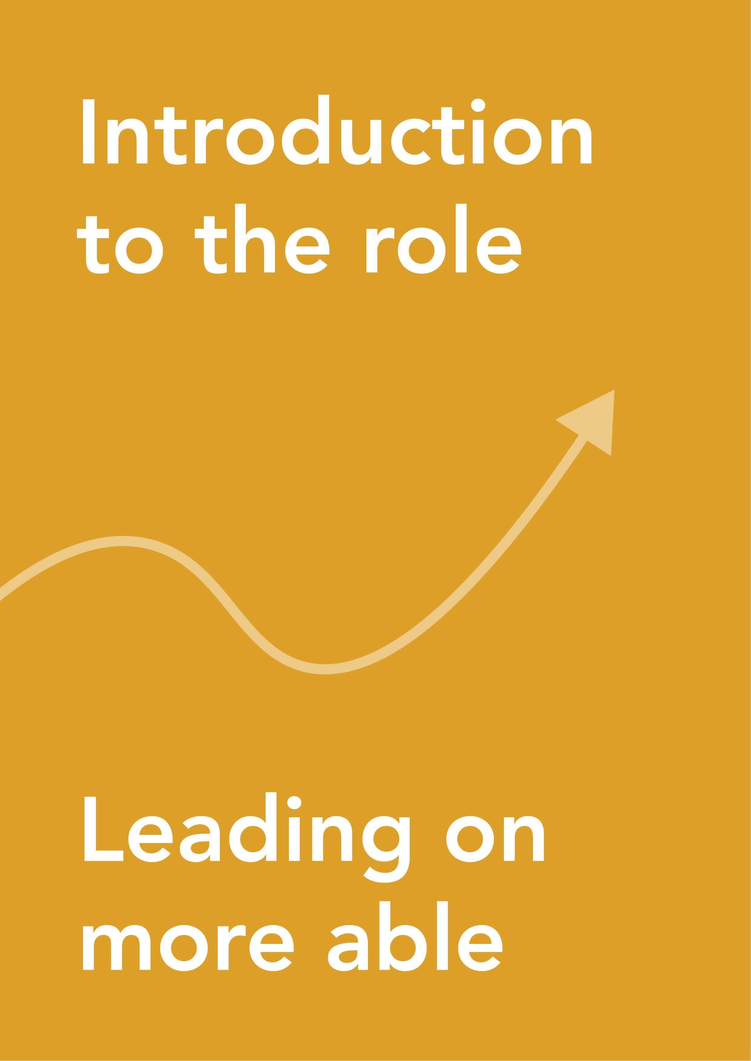 Introduction to the role
