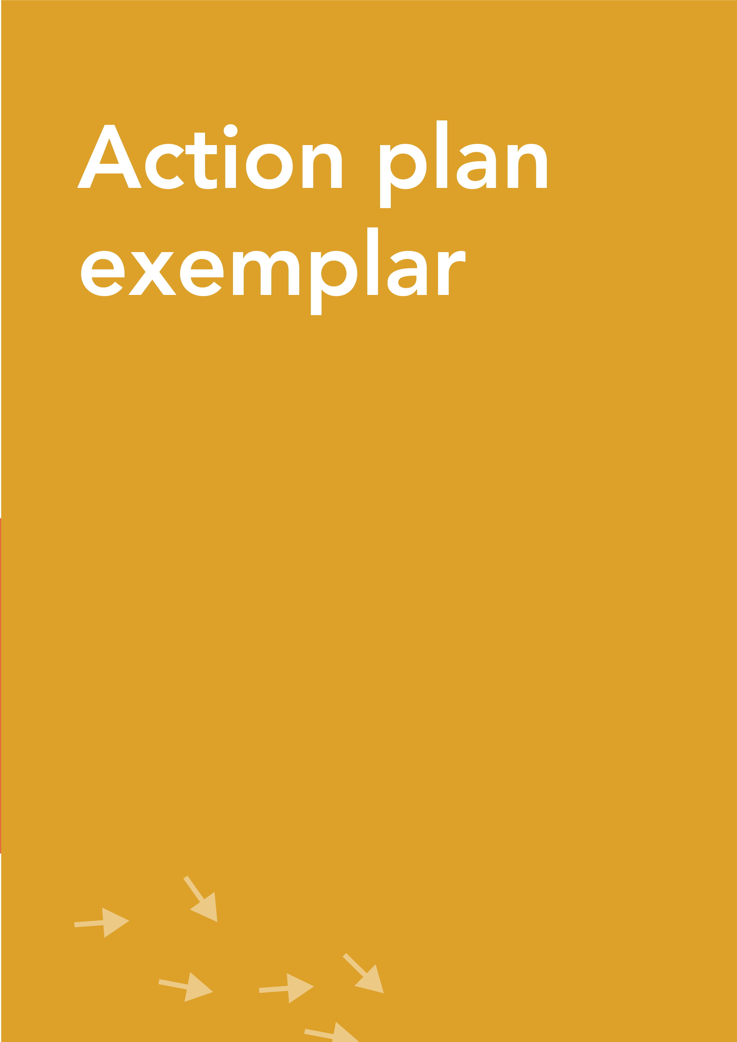 Action plan exemplar