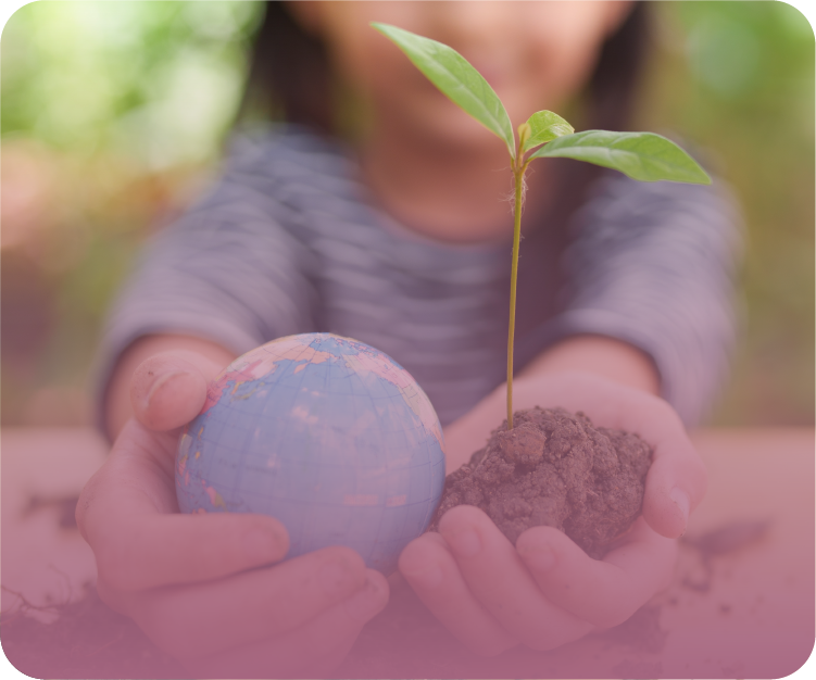 Environmental education in the early years: intent, implementation, impact