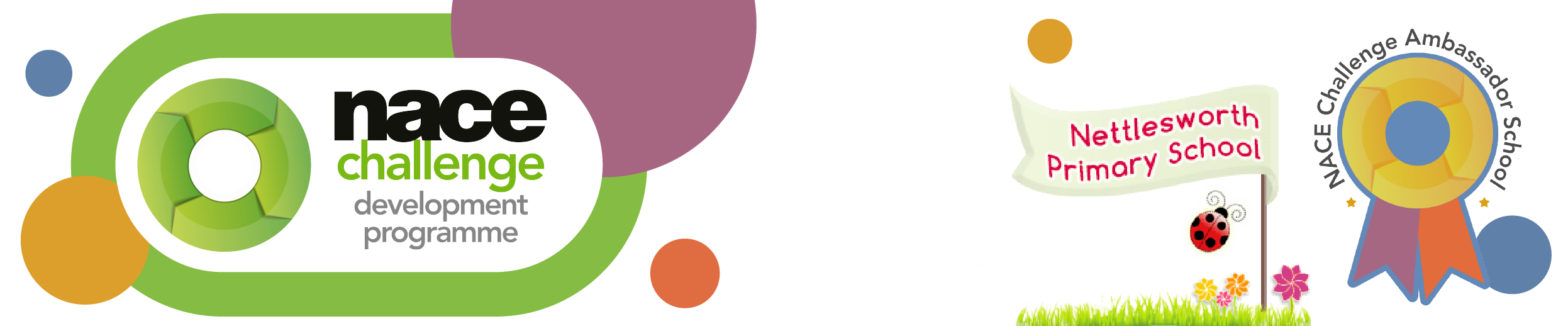 NACE Challenge Development Programme
