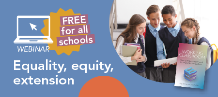 Webinar: Equality, equity, extension