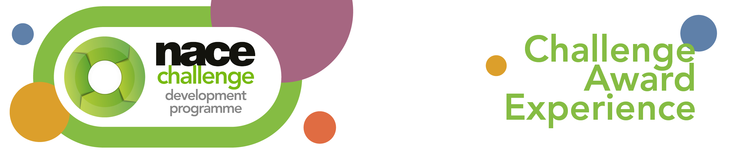 NACE Challenge Development Programme