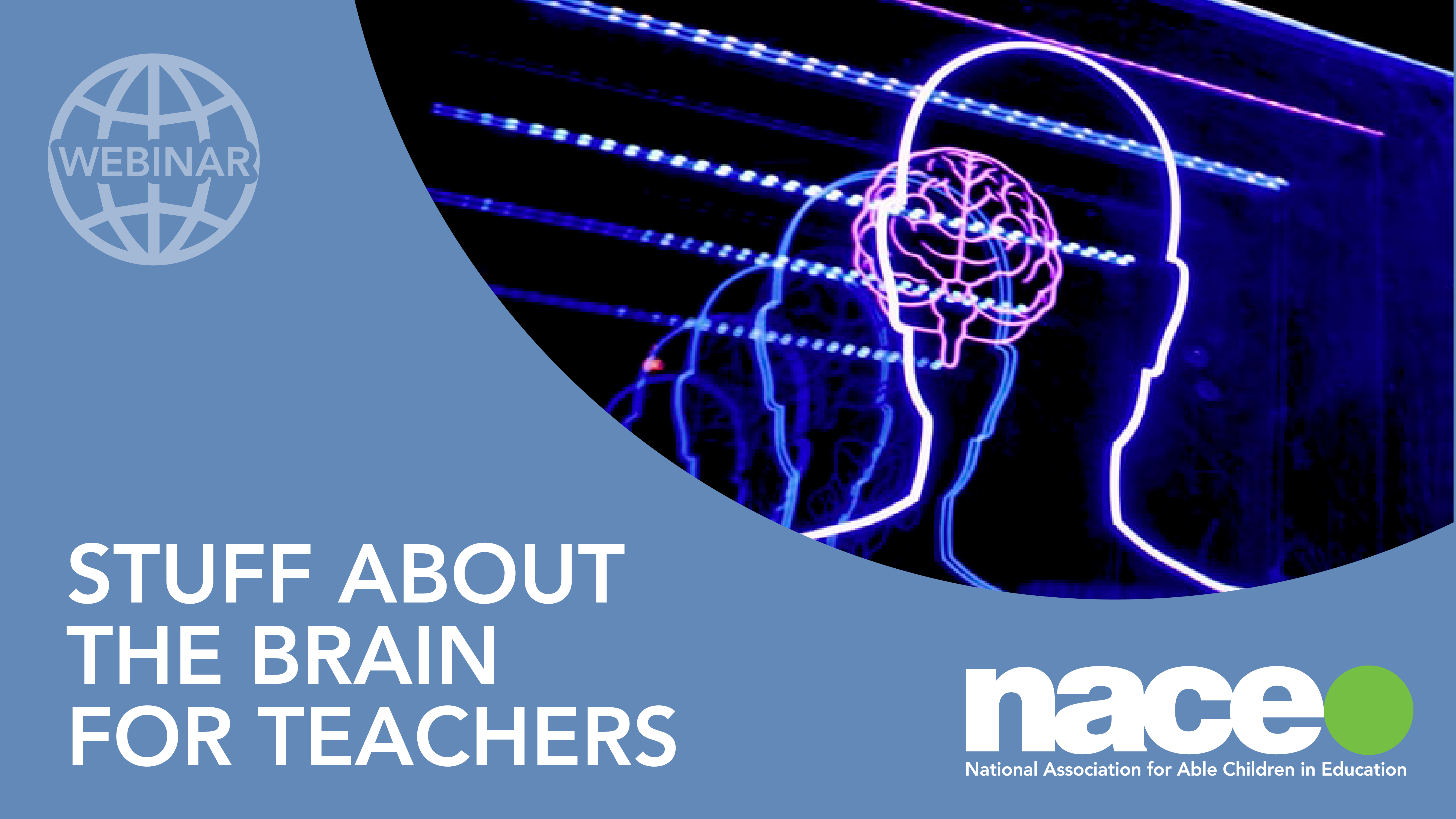 Stuff about the brain for teachers
