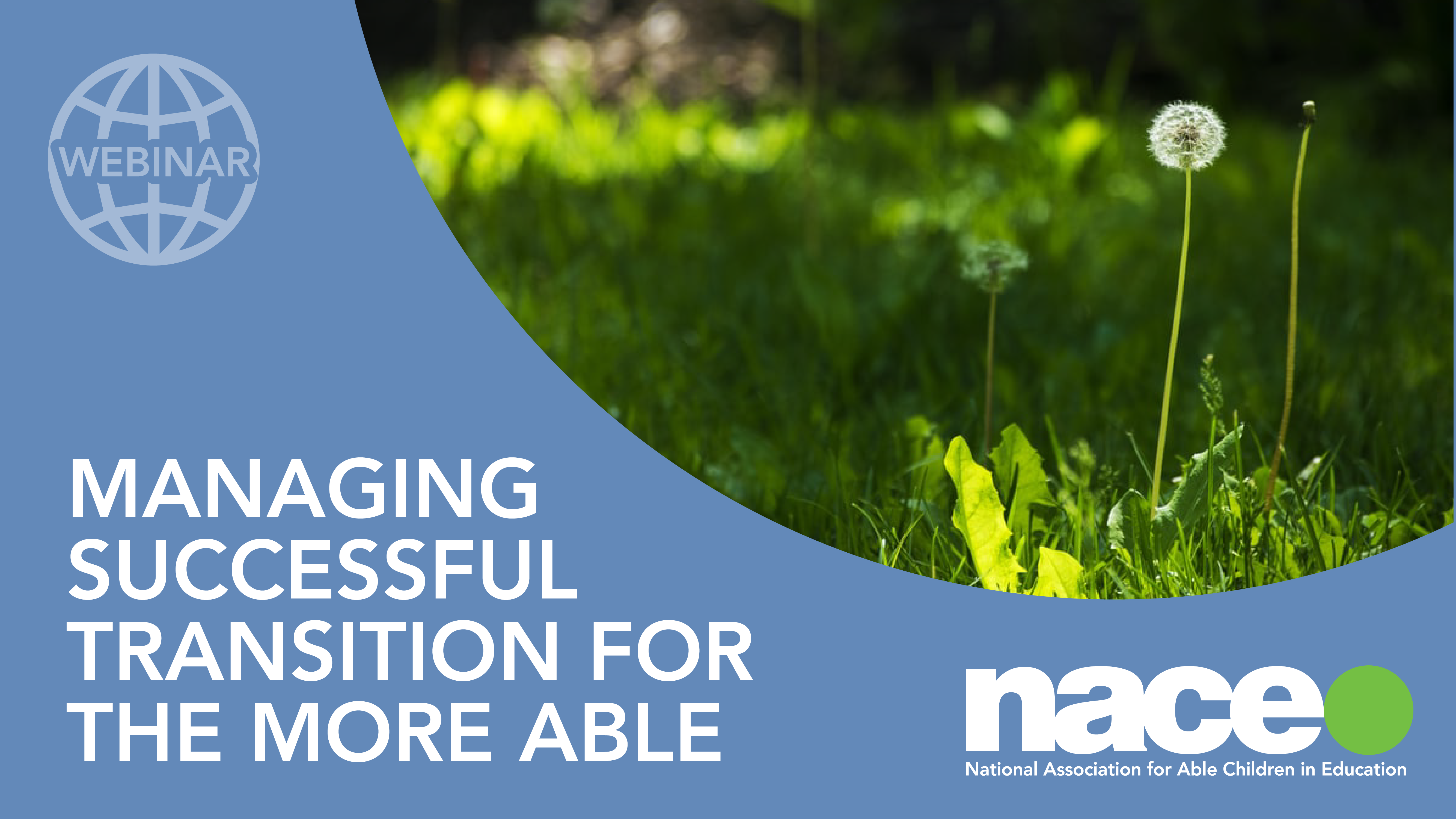 Managing successful transition for the more able