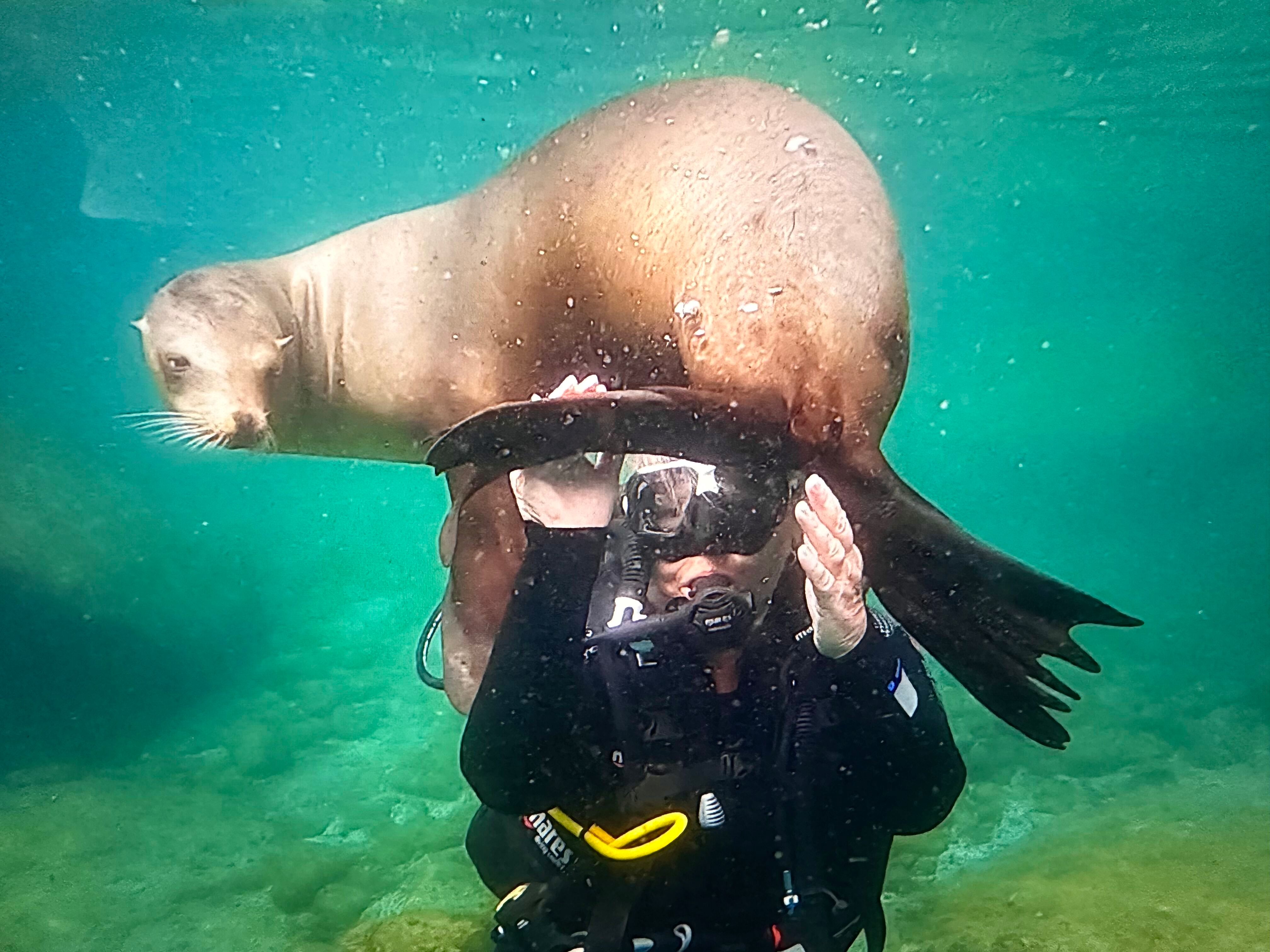 Jen scuba diving