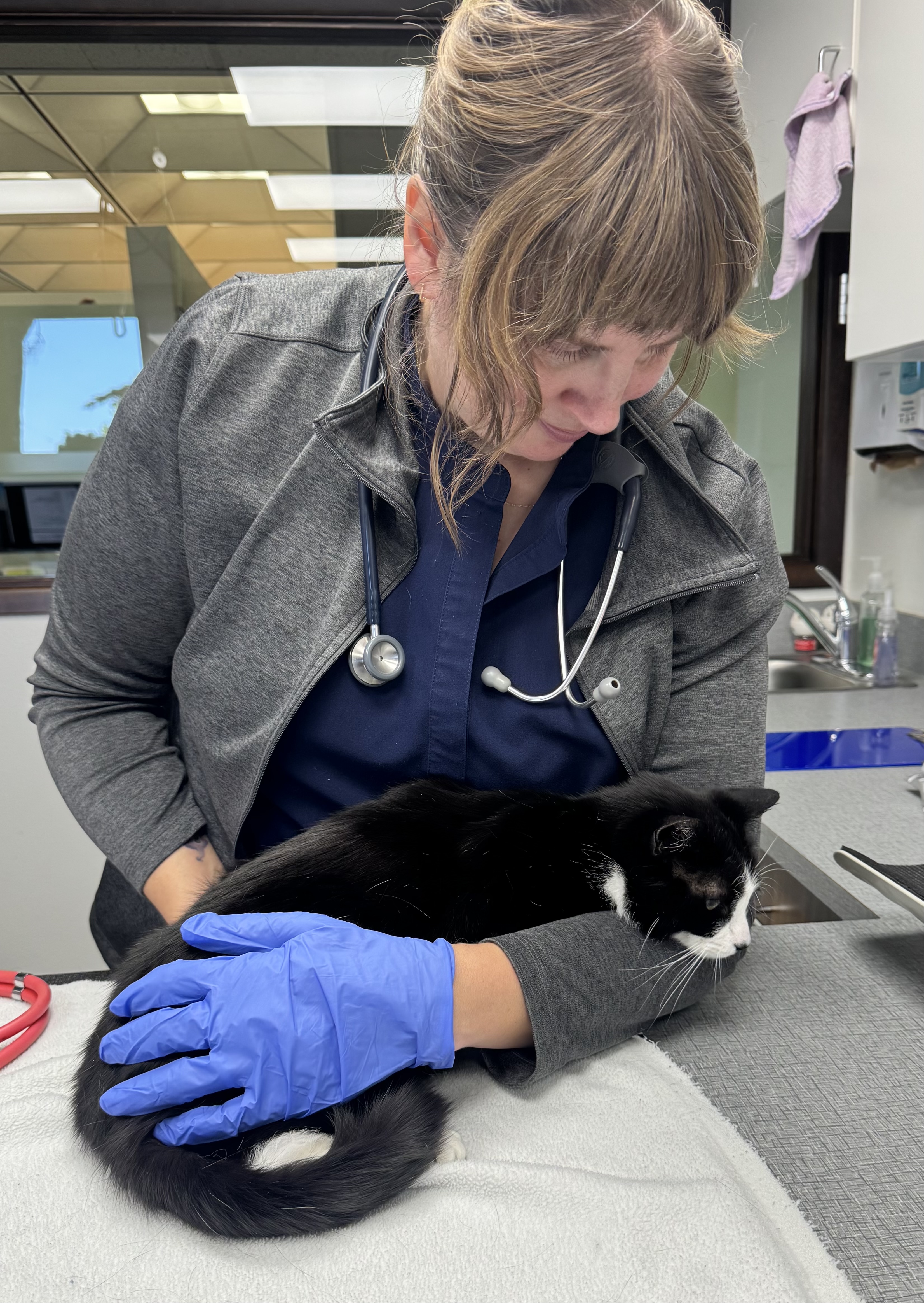 Dr. Staci Goussev at clinic