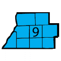 2D map of Michigan showing NASW-MI's Region 9 location