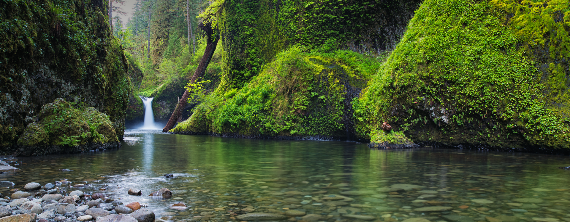 Punchbowl Falls