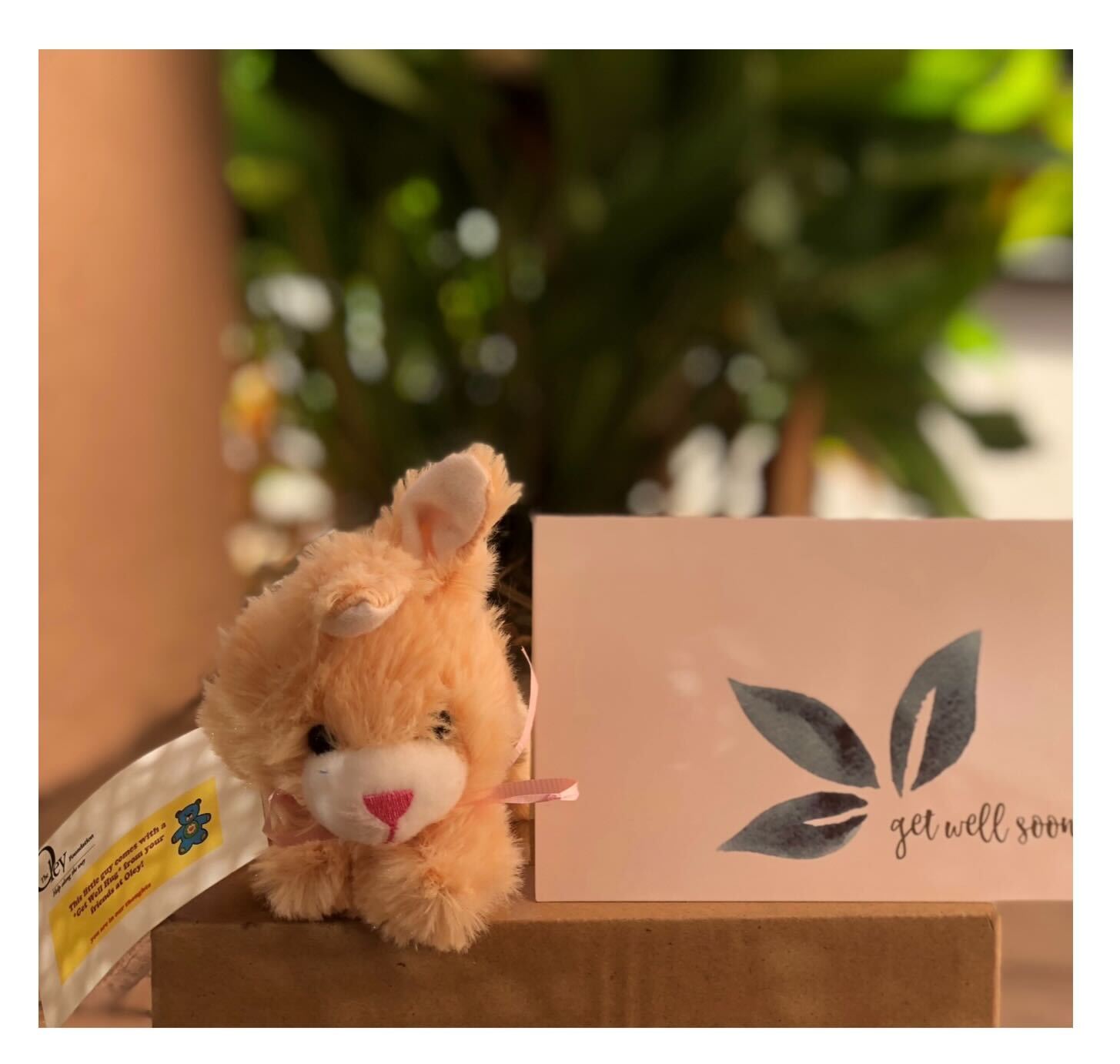 Hug Program - Oley Foundation