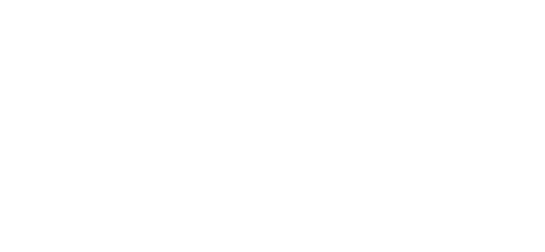BIGI Logo