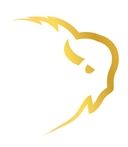 BISON Restoration Services