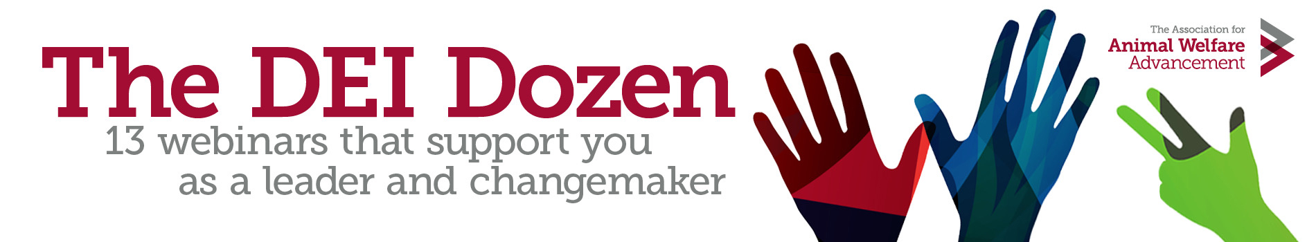 DEI Dozen