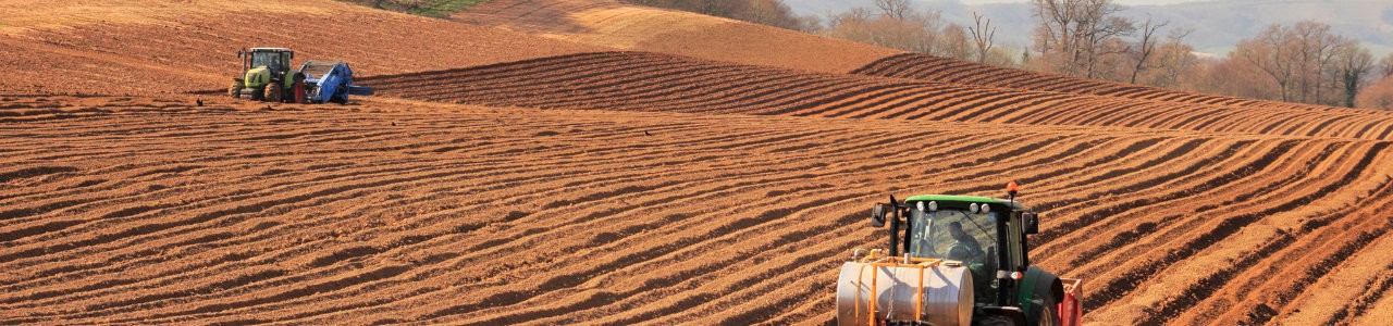 Farmers ploughing fields