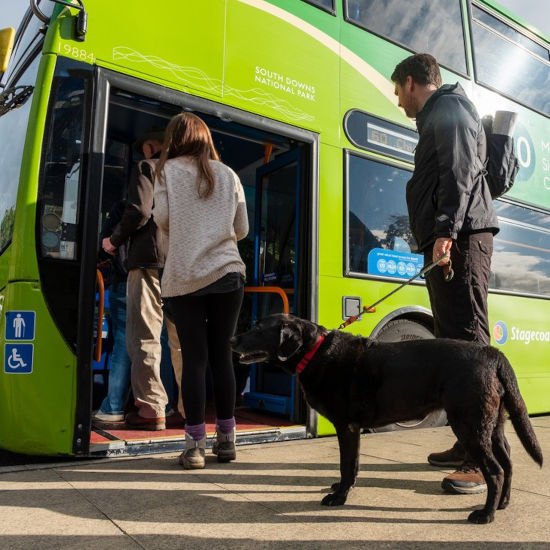 People getting in bus