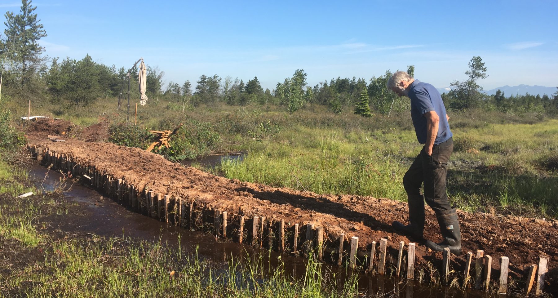 Ecohydrological Restoration of Burns Bog Society for Ecological